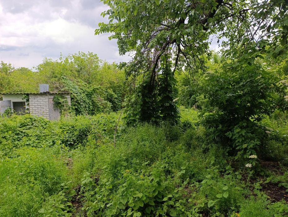 Продам дом в Сухачевке / Таромское / Диевке