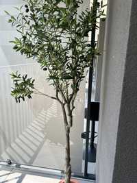 Drzewko oliwne sztuczne