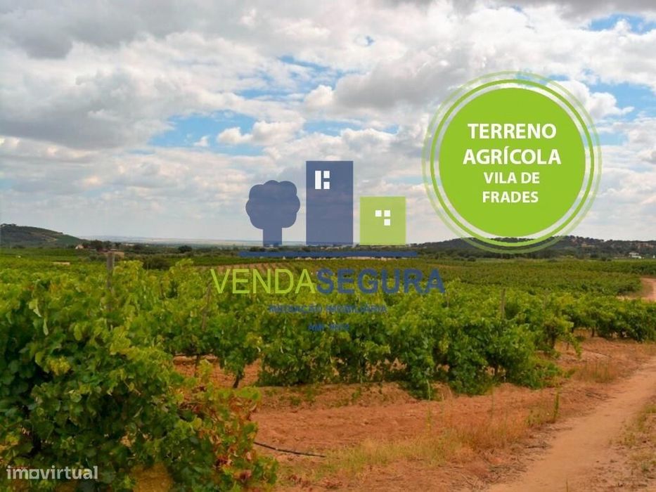 Propriedade vinícola, em Vila de Frades, Vidigueira