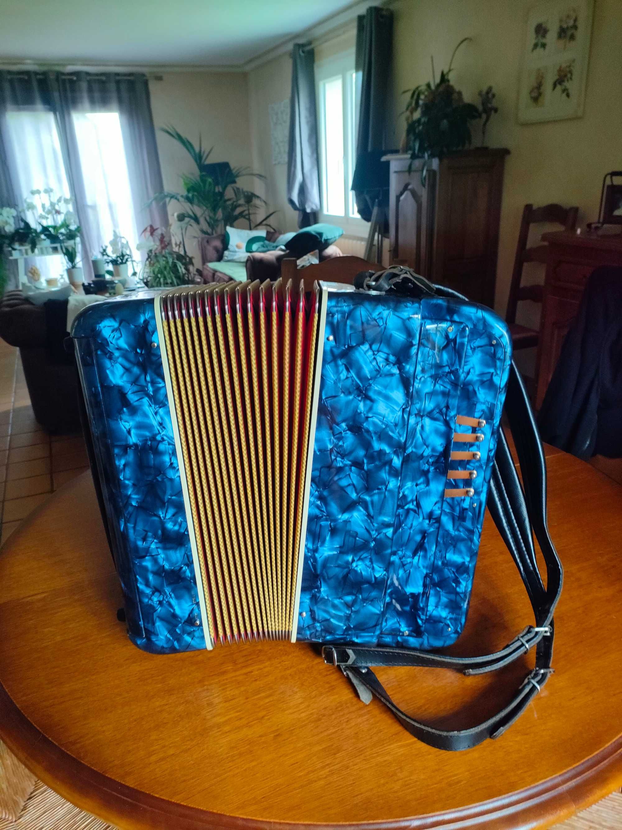Vendo acordeão fratellicrosio
