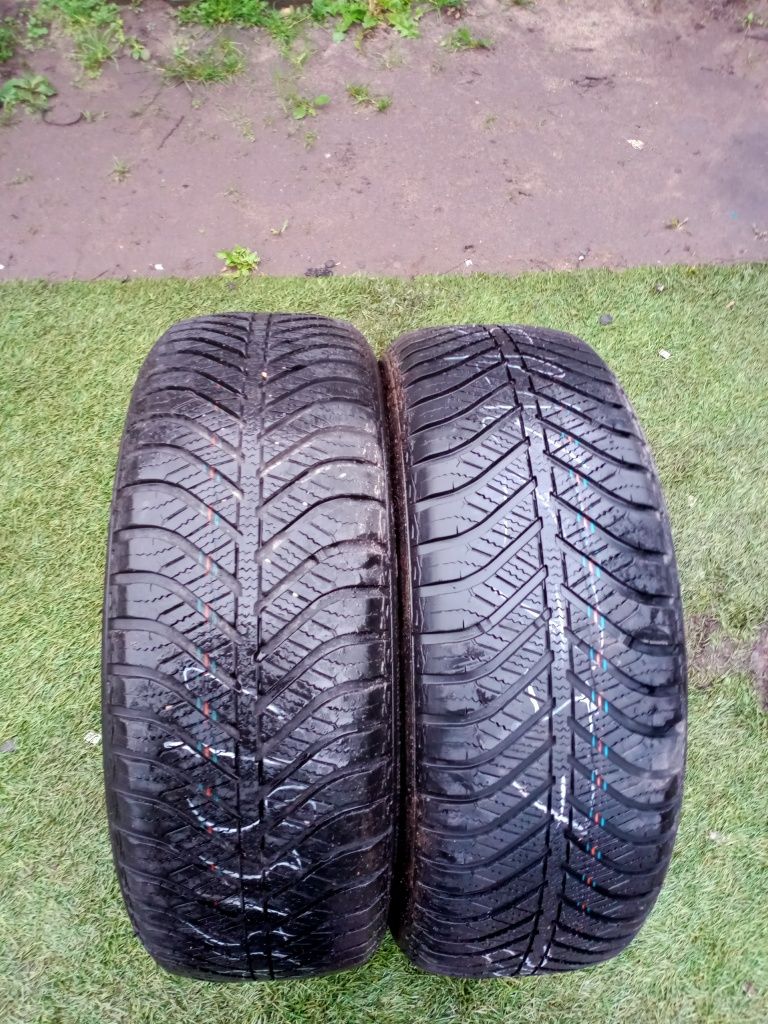 Z0348 opony zimowe Goodyear Vector 4seasons 195/55R16