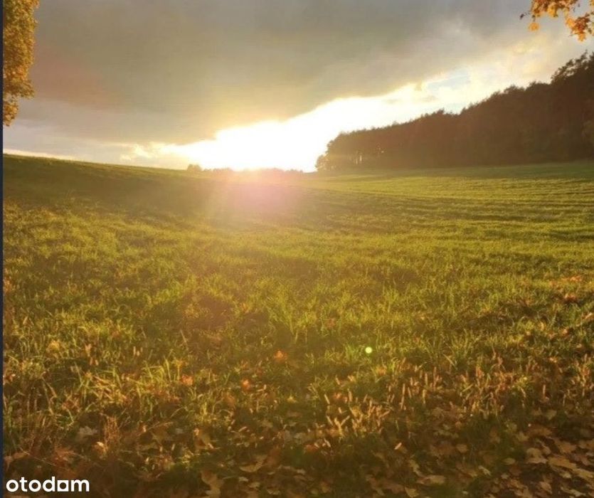 Działka budowlana w Dolaszewie  pod mały budynek z kilkoma lokalami