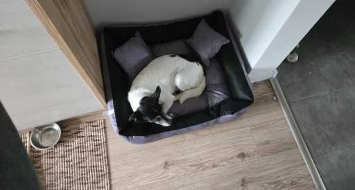 Legowisko dla Psa Kota – Wodoodporne Posłanie 75x65 cm NOWE