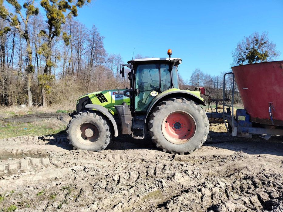syndyk sprzeda ciągnik CLAAS ARION 640