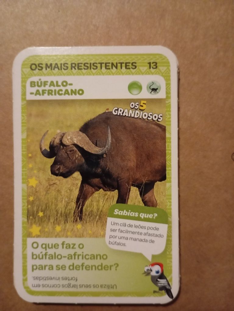 Cartas super animais - vida selvagem