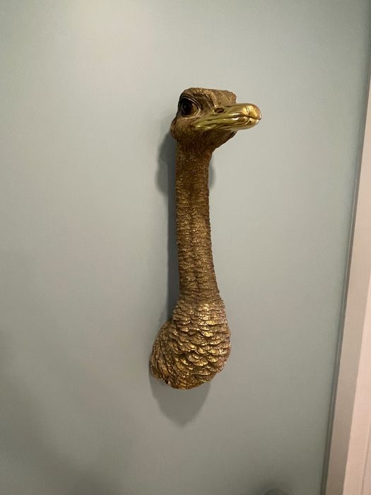 Decoração parede Avestruz