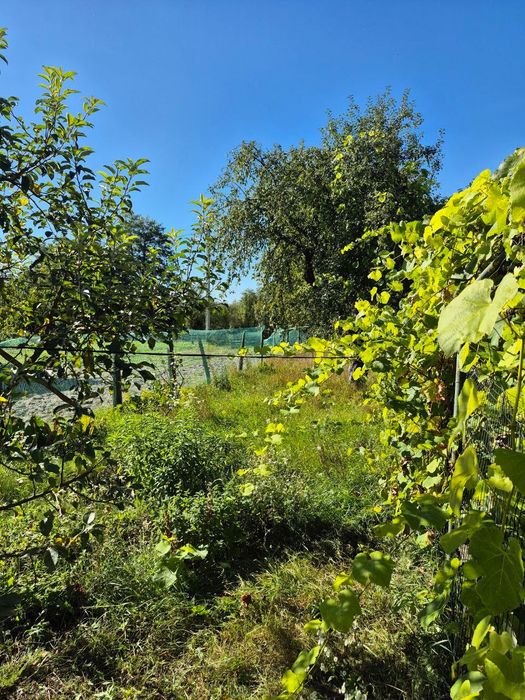 Продам будинок у с. Стіжок біля м. Кременець