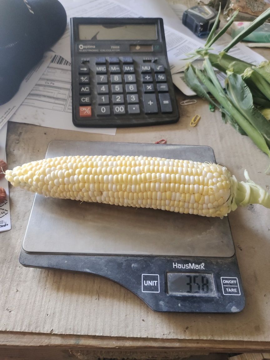 Продаж кукурудзи Ракель