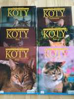 Zestaw 6 książek o kotach dla dzieci i dorosłych