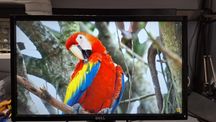 *REZERWACJA* Monitor DELL 22' cale Full HD 1920x1080 SE2216H LED VA HD