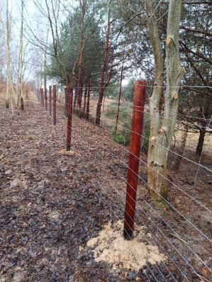 Ogrodzenie tymczasowe siatka leśna kantówki 8x5 8x8 h250płot