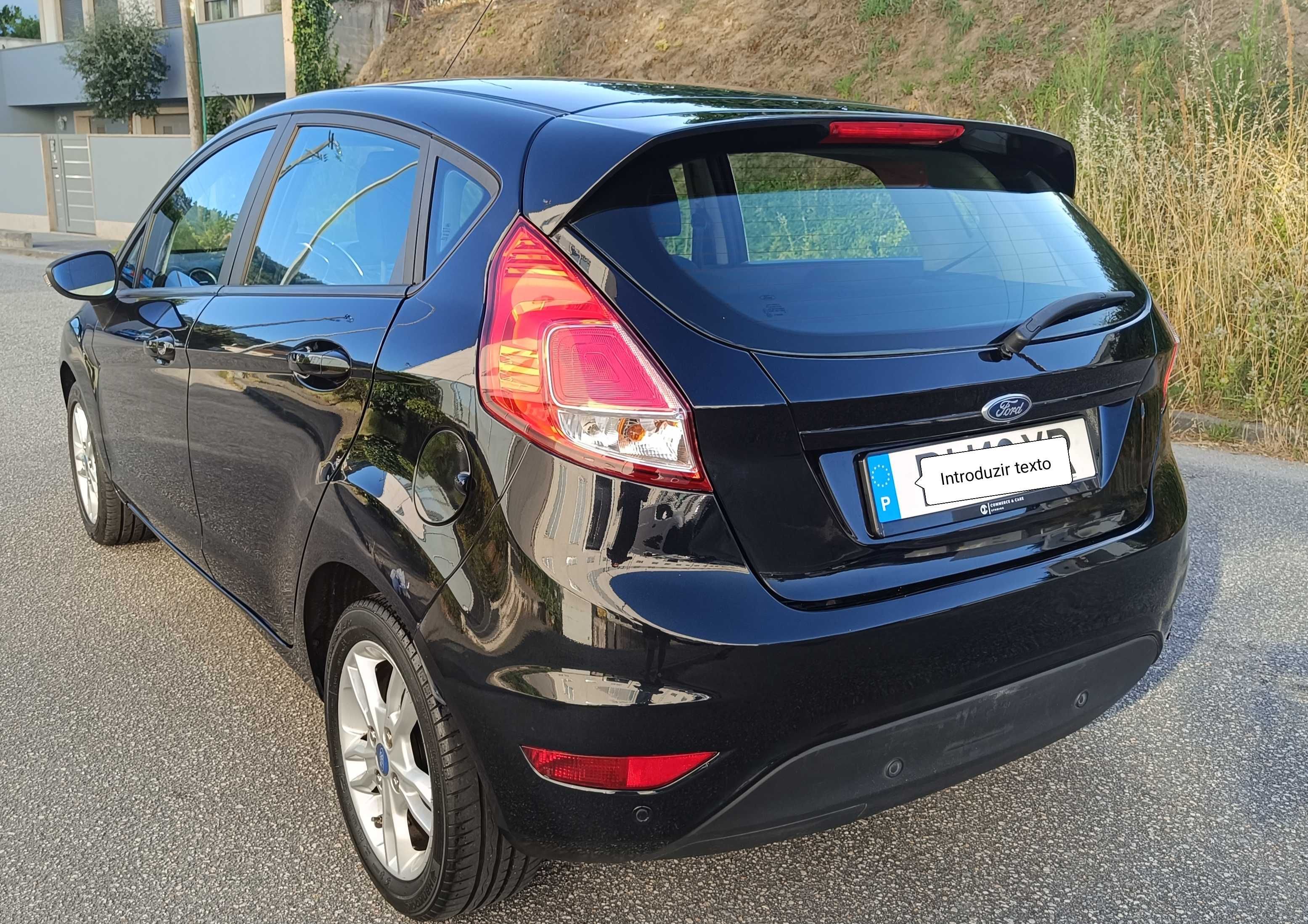 FORD fiesta ecobust
