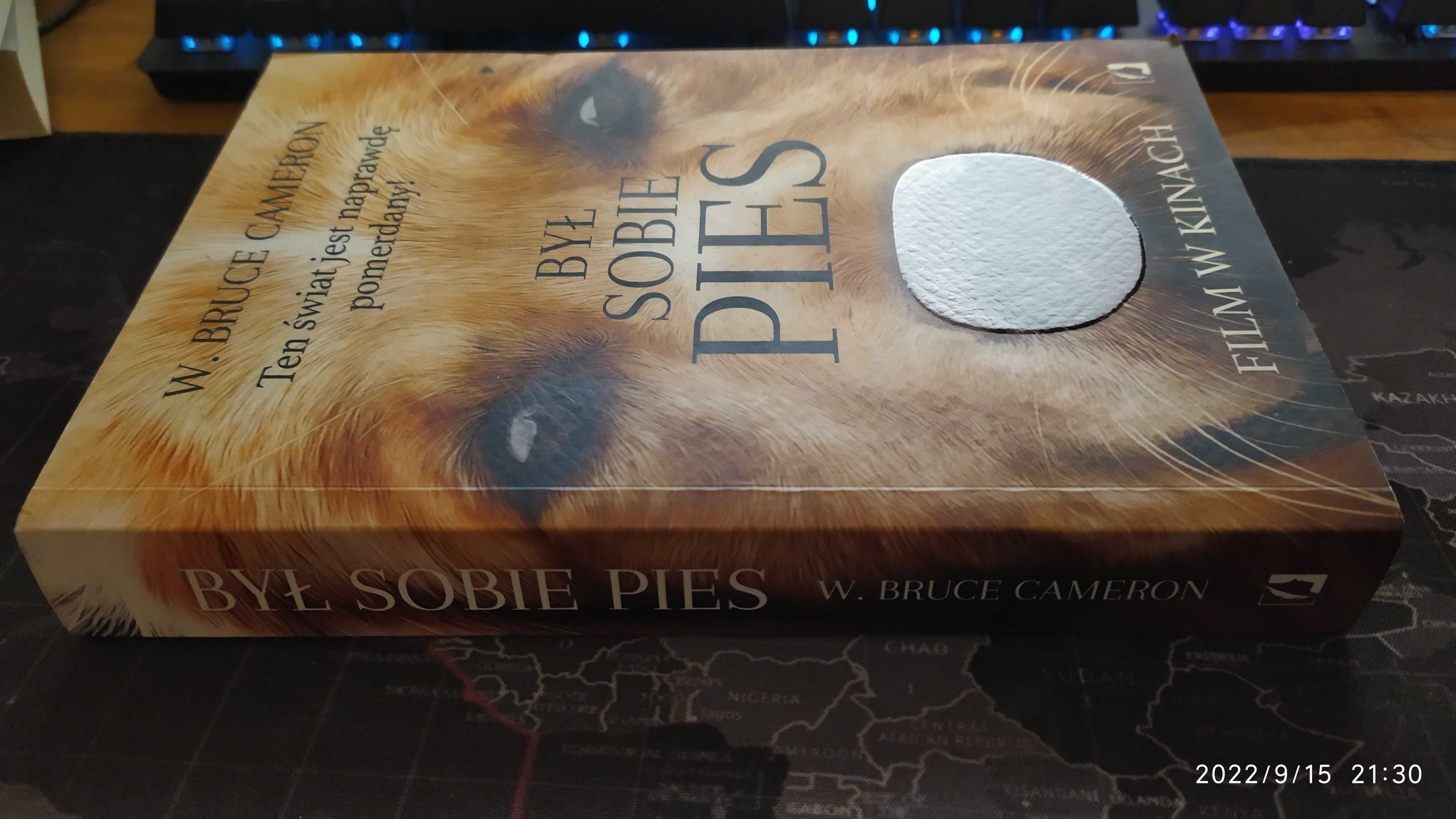 Książka: W.BRUCE CAMERON "Był sobie pies"
