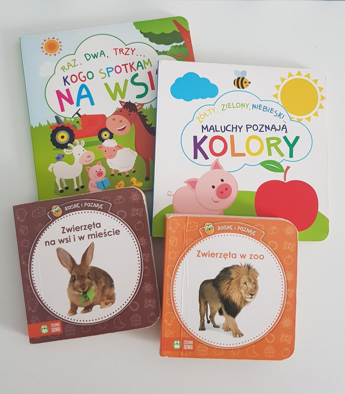 Książeczki - kolory, zwierzęta na wsi w zoo