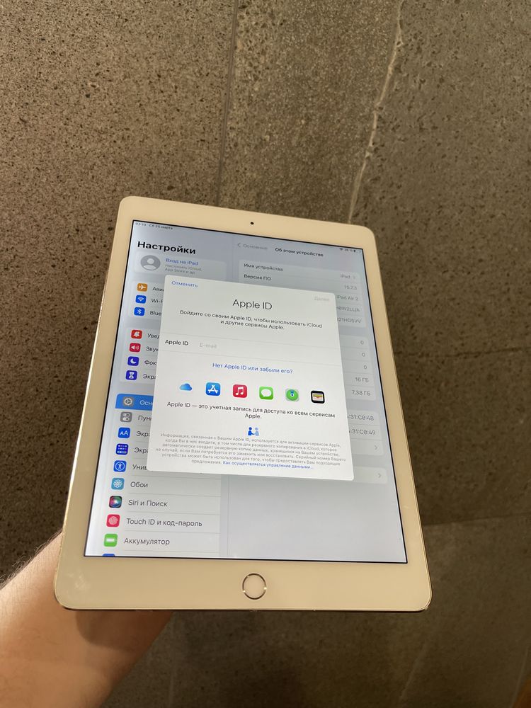 iPad Air 2 16gb Wi-Fi Gold (103)