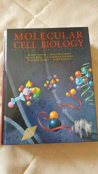 molecular cell biology 3rd edition