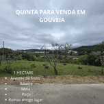 Terreno de 1 hectare EM GOUVEIA
