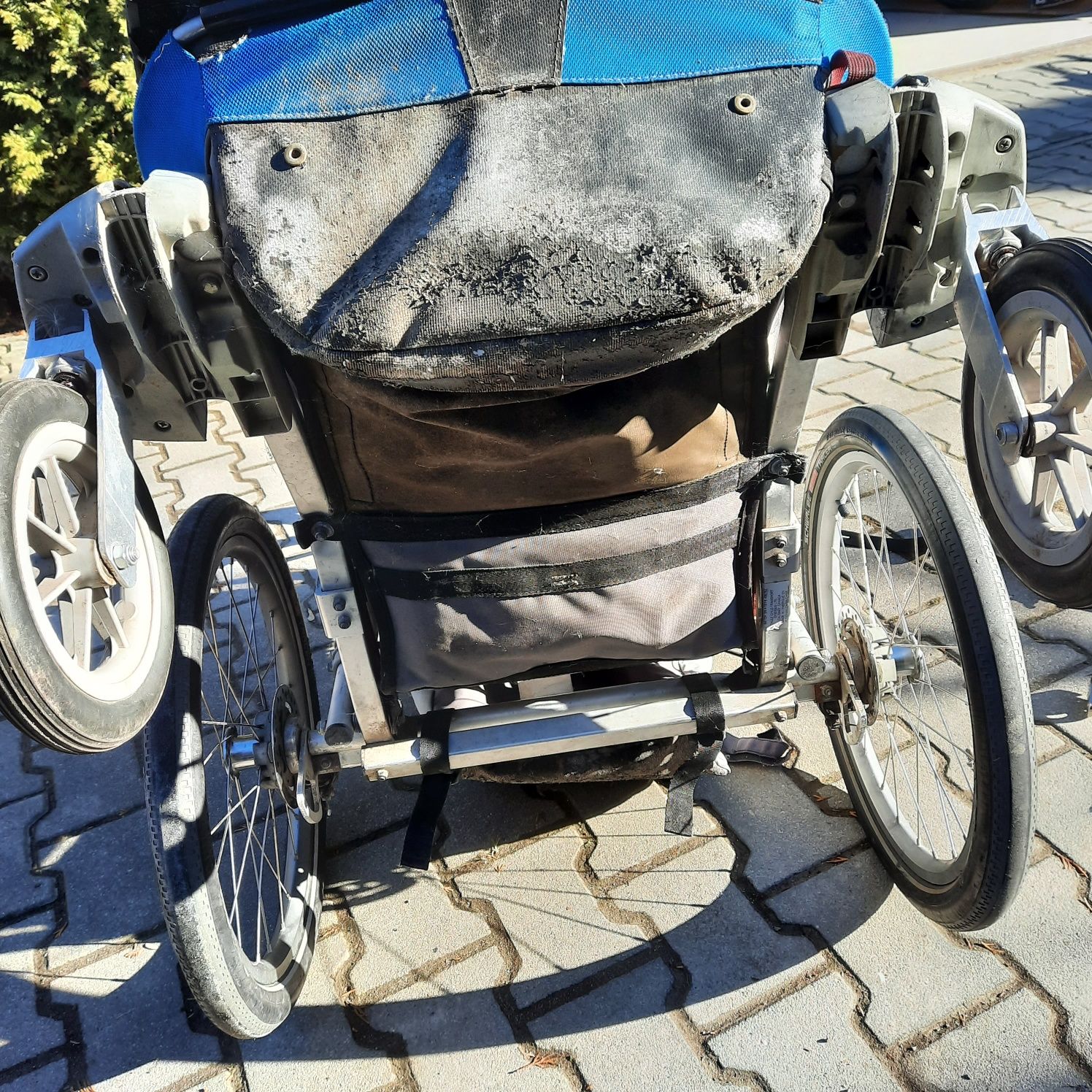 Przyczepka rowerowa thule chariot cx1