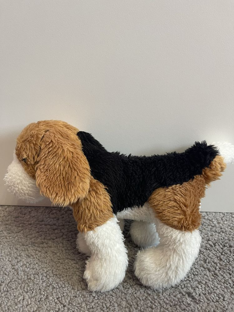 Pies beagle maskotka pluszak