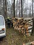 Drewno brzoza dab olcha osika Transport Gratis kominkowe