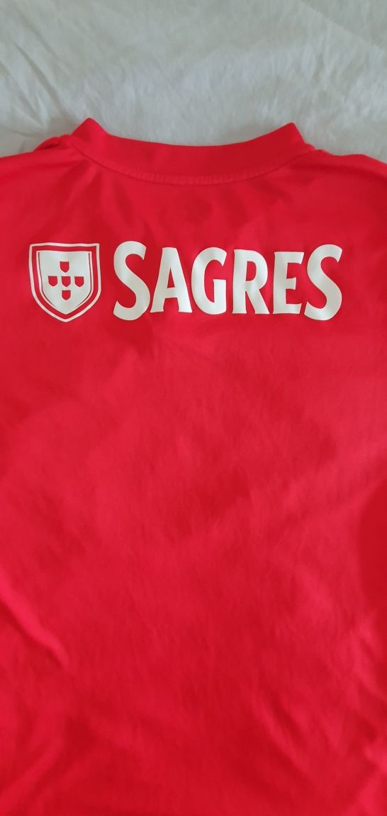 Camisola oficial do Benfica