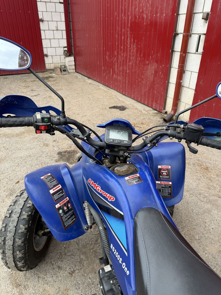 Quad Bashan BS250S-One