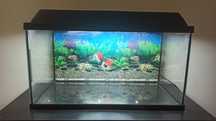 Aquário 60x30x30