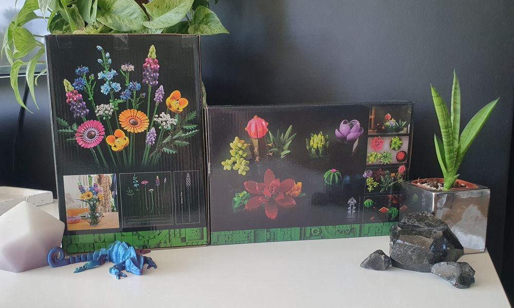 Nowe Klocki Botanicals zestaw 2 bukiet polnych kwiatów kaktusy komplet