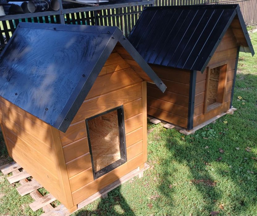 Buda dla psa, duża buda