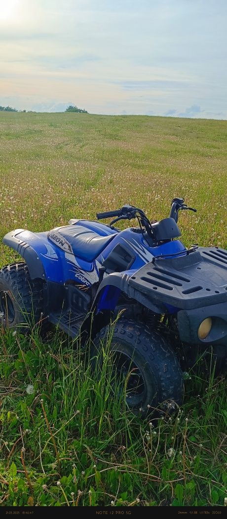 Quad aeon cobra 180