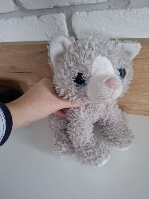 Kotek maskotka pluszak