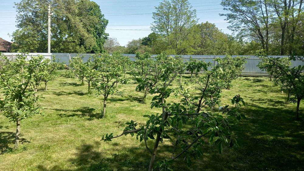 Земельна ділянка,фруктовий садок та город
