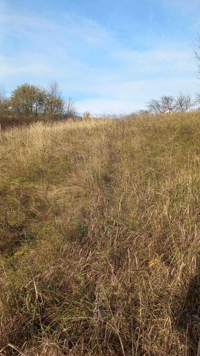 Продаж земельної ділянки під житлову забудову, Лезнево (вул. Ярова)