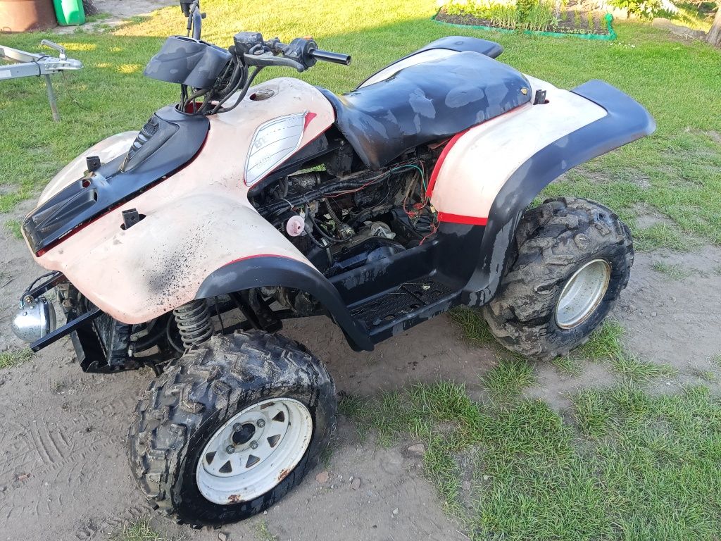 Quad beyond  260 hytrack linhai 300 części