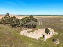 Quinta de 7 hectares com ruínas e potencial turístico