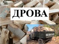 Дрова дуб, граб, ясень. Севериновк. Дубовые с доставкой купить 7,4 куб