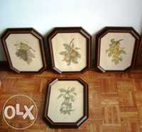 4 Quadros alusivos ao tema árvores de fruto