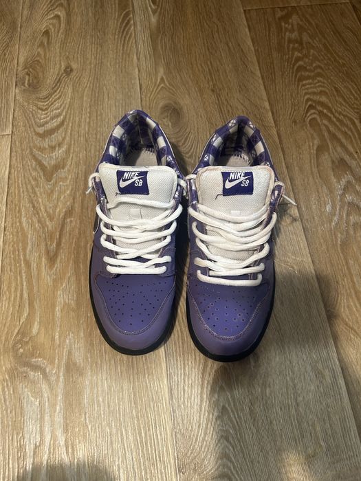 Nike dunk sb lobsters