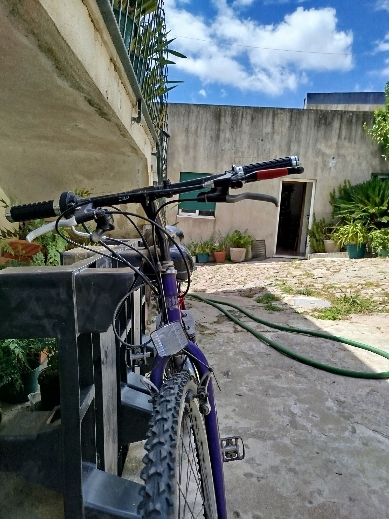 Bicicleta a motor(Bina)