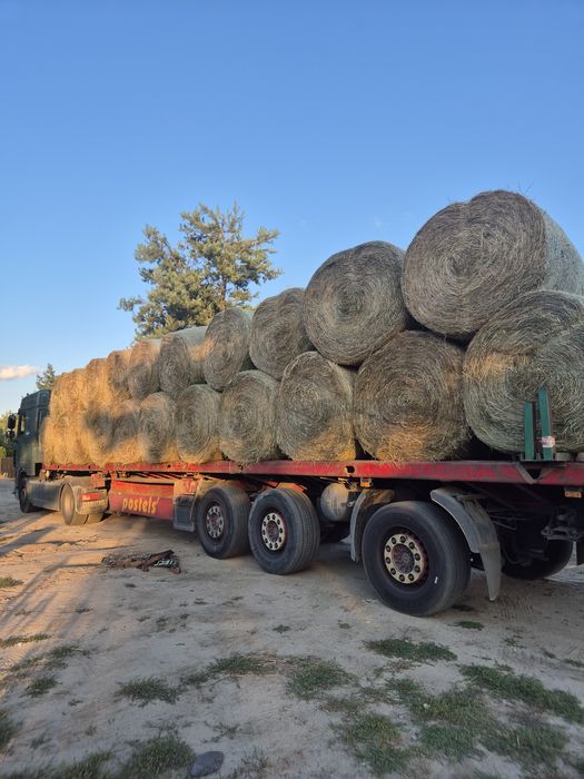 Siano bele balot 120