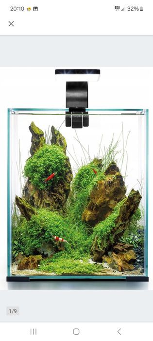 Akwarium aquel 30 l plus gratisy