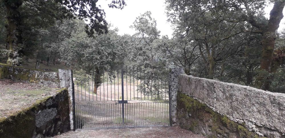 Propriedade com ca. 5 ha em Vieira do Minho