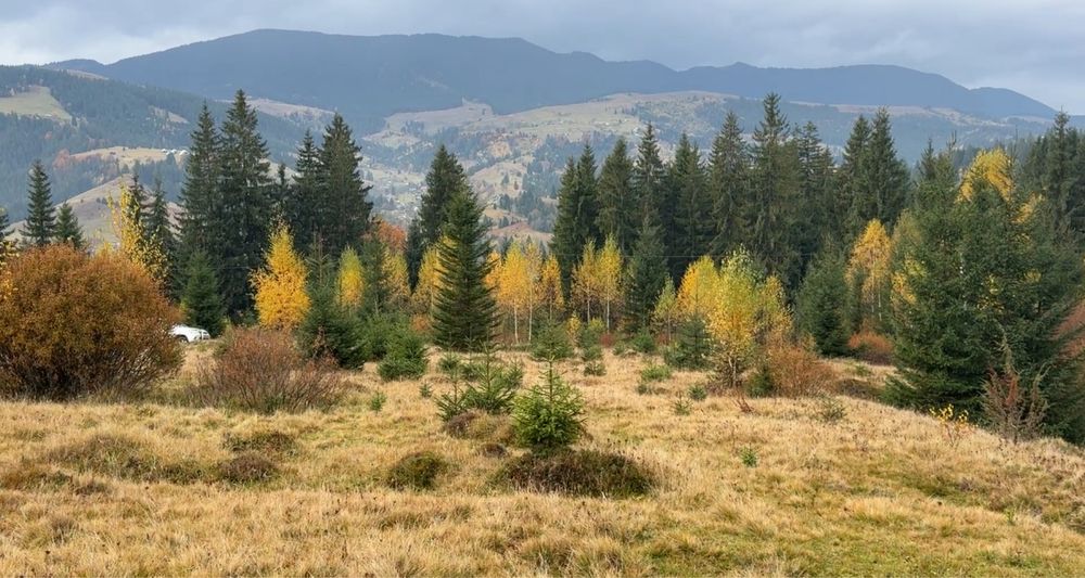 Підізд легковим авто .