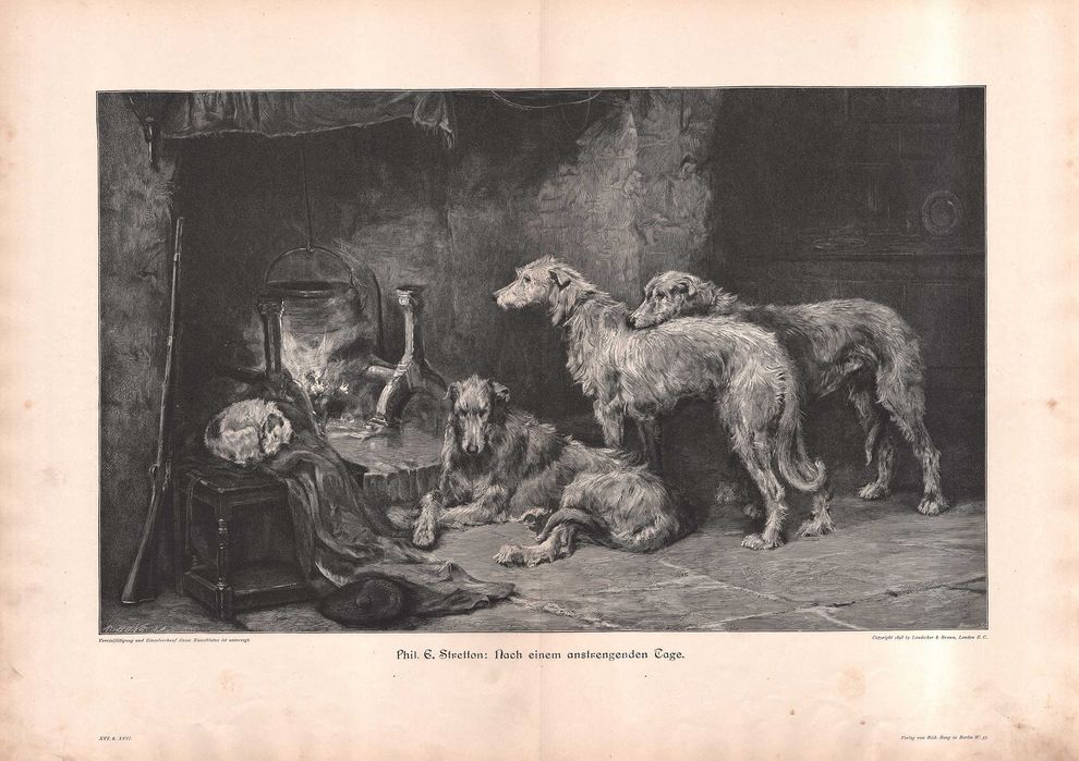 Stretton: Psy myśliwskie. Duży drzeworyt 1901 r. oryginał