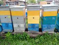 Продам вулики стояки