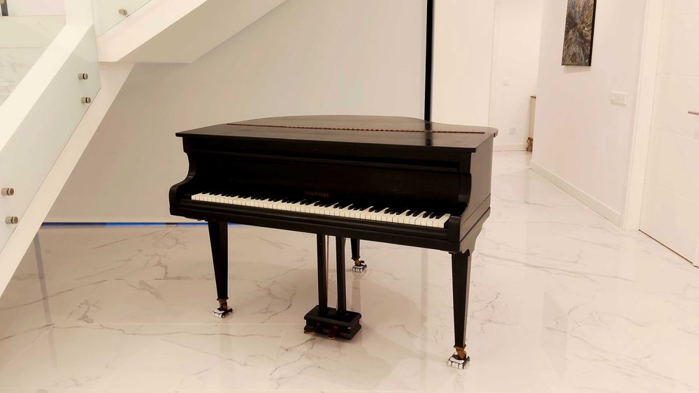 Piano de Cauda Waldberg - Berlin