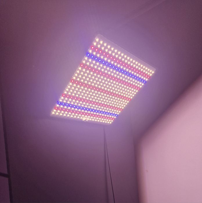 Duża Lampa do uprawy roślin/full spectrum white plant 50W