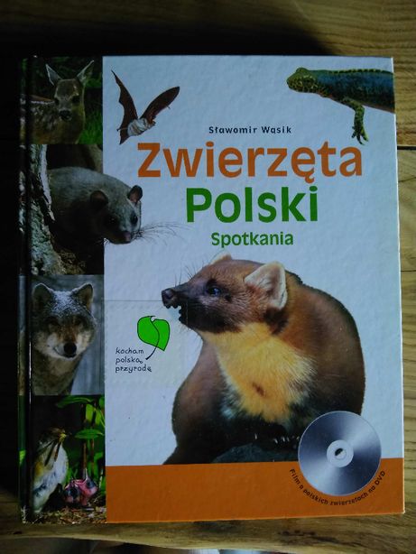 Zwierzęta polski spotkania - Sławomir Wąsik