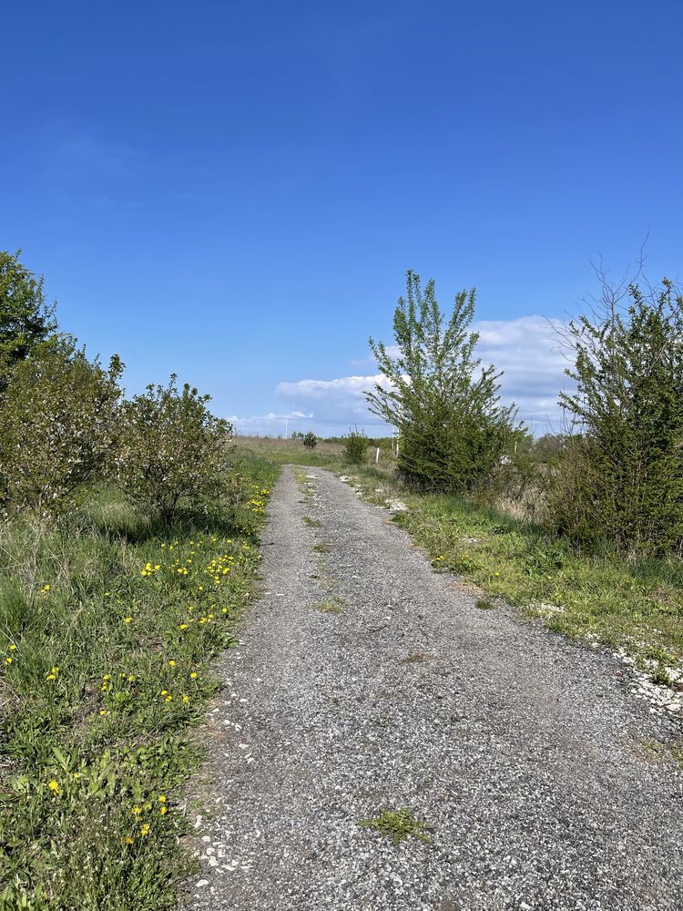 Продаж земельної ділянки в с. Романівка