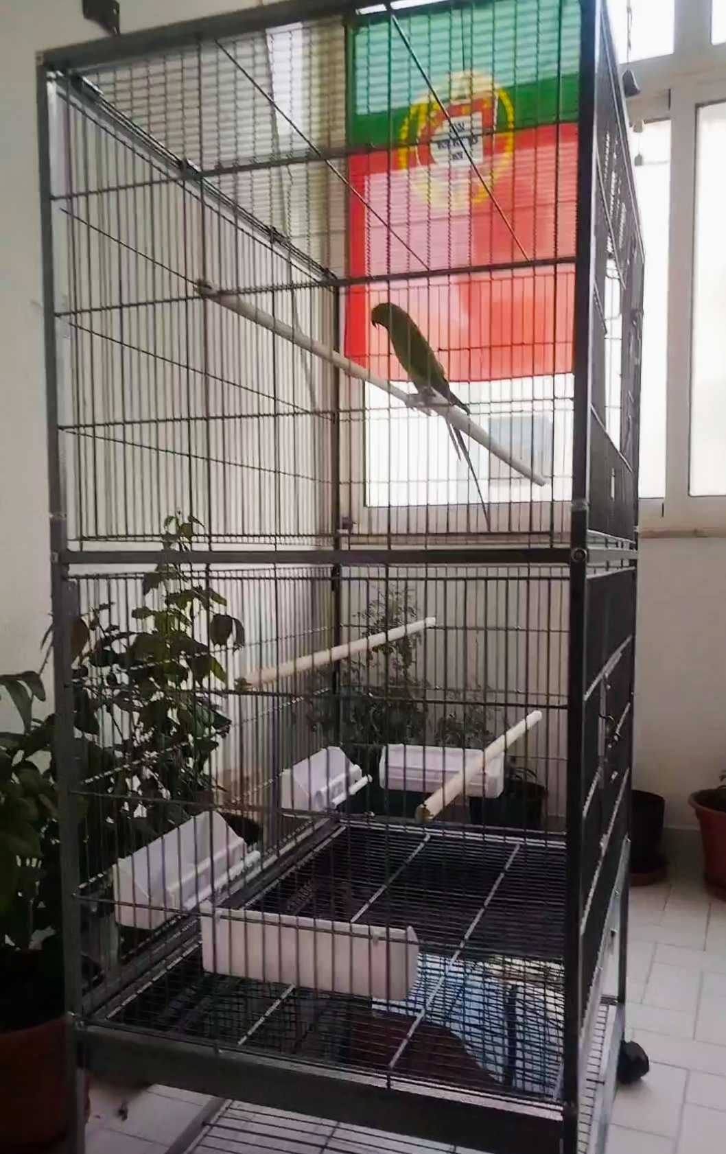 Gaiola papagaio nova